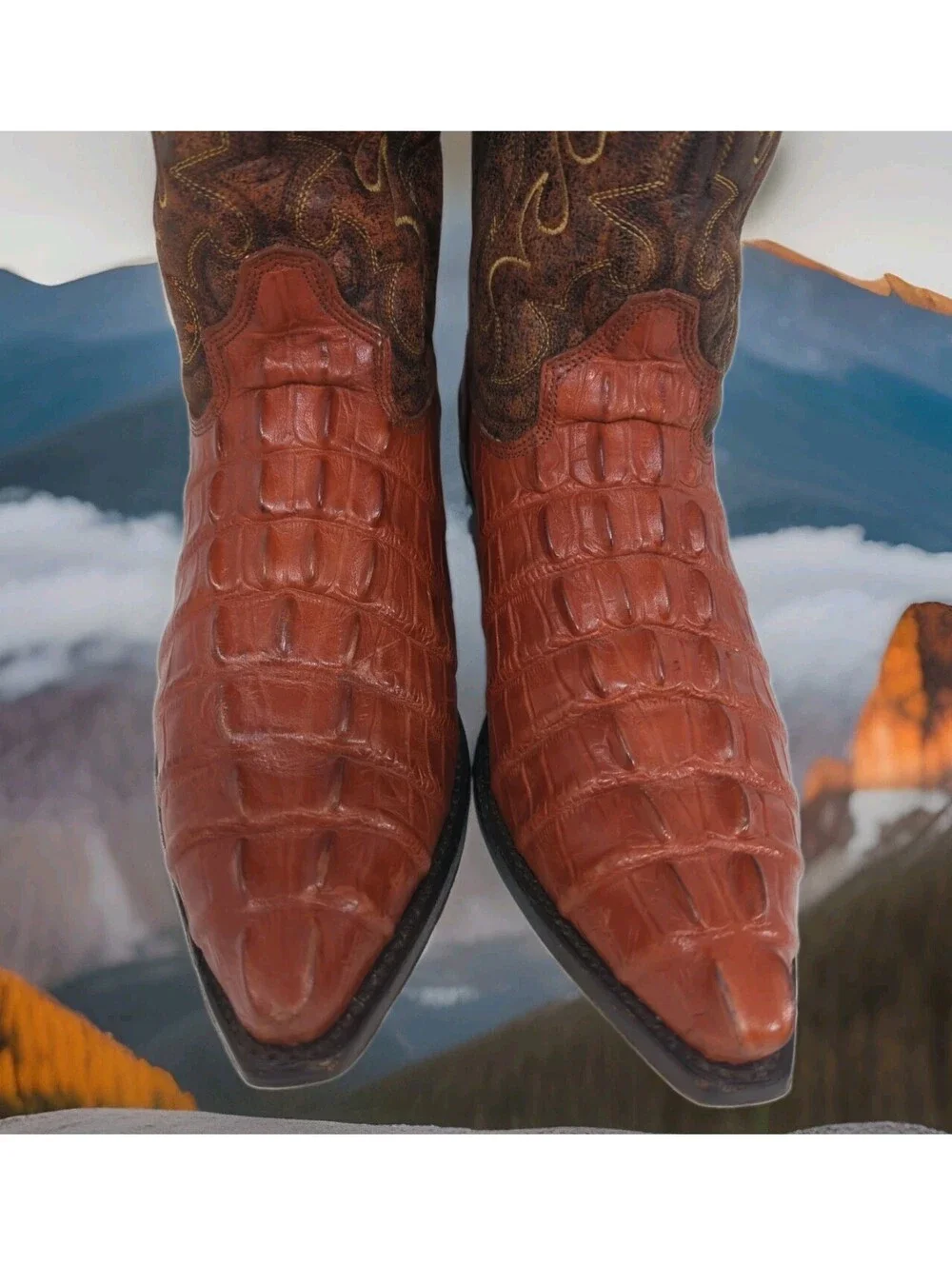 Andrea Exotic Caimen Crocodile Tail Cowboy Boots Mens 8.5 Women 10 27 Mexico Red